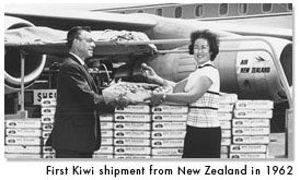 kiwifruit_shipment