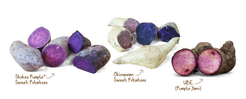 The Ultimate Purple Sweet Potato Guide Frieda s Inc The Specialty 