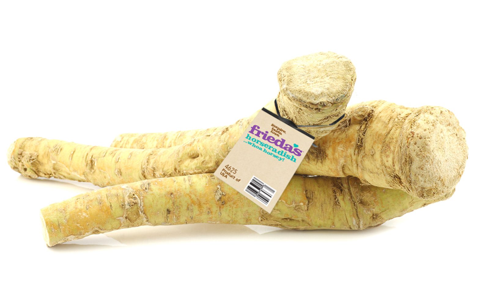 Horseradish Root Image