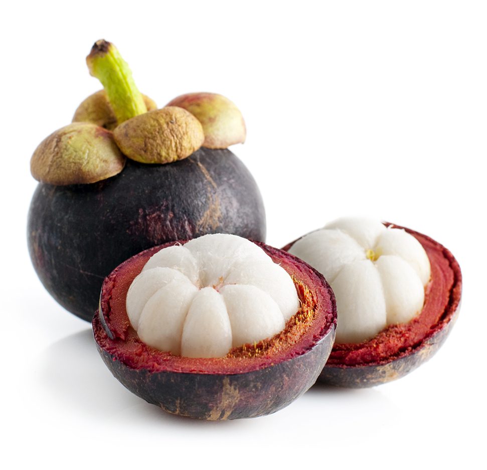 Mangosteen Capsules Mangosteen Capsules