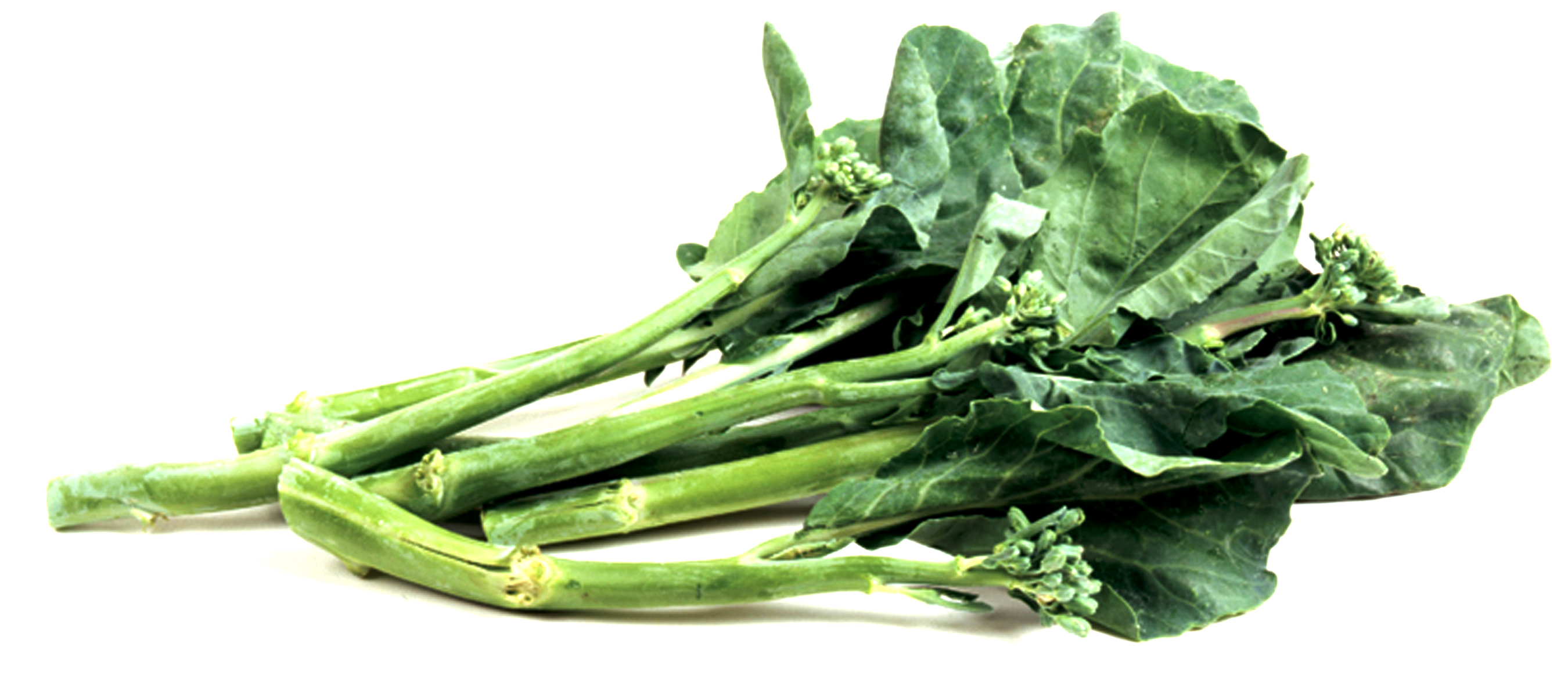Chinese Broccoli (Gai Lan) Image