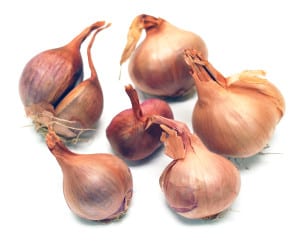 Frieda's Specialty Produce - Frieda's Flavor Essentials - Shallots