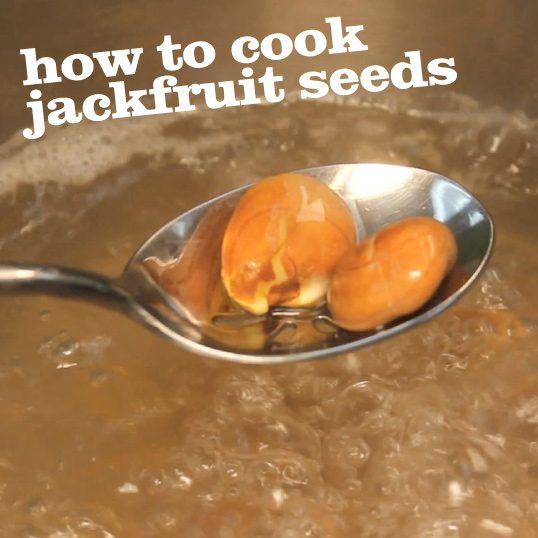 How To Cook Jackfruit Seeds Frieda S Inc The Specialty Produce Company