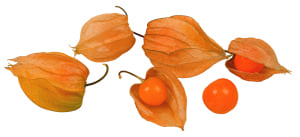 Frieda's Specialty Produce - Cape Gooseberries