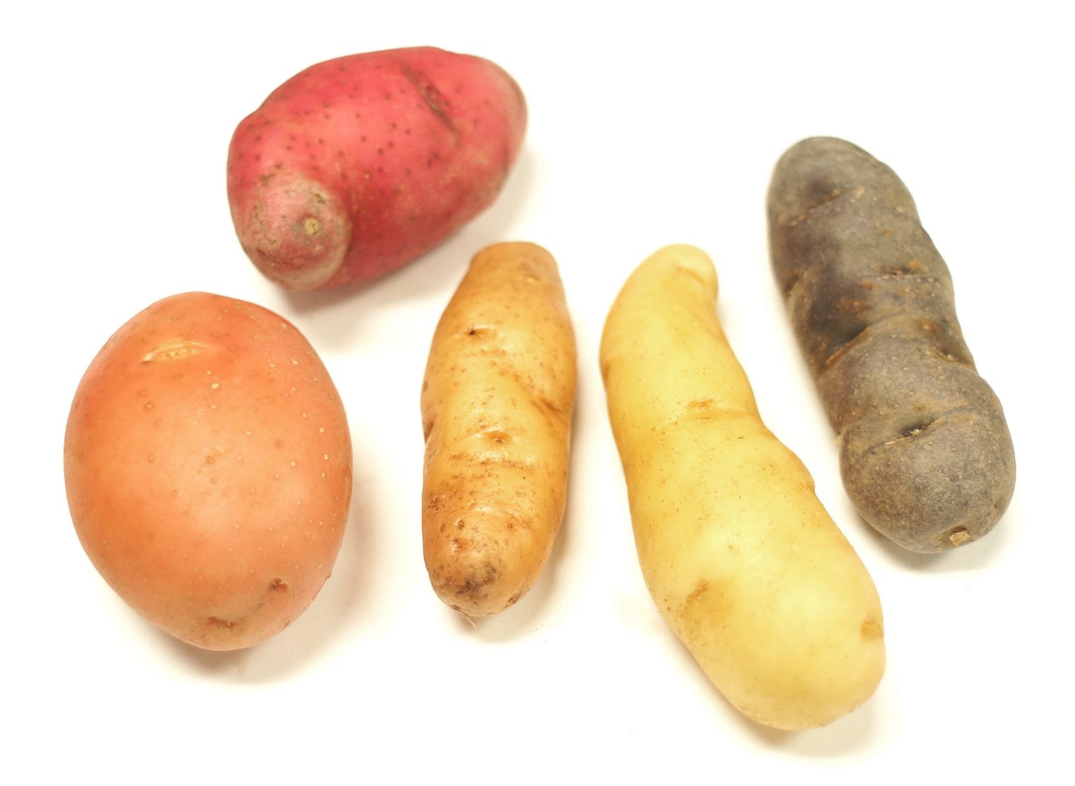 Potatoes_Group Frieda's Inc. The Specialty Produce Company