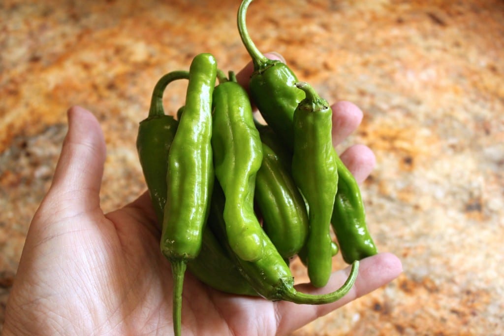 Frieda's Specialty Produce - What's on Karen's Plate - Christina's Cucina - Shishito Peppers