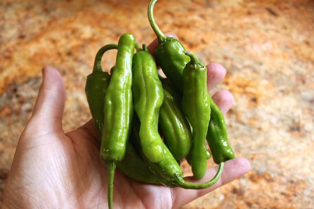 Demystifying Shishito and Padron Peppers | Frieda's Inc.