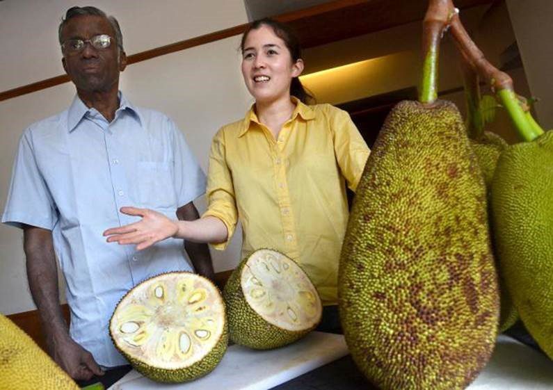 Annie Jackfruit