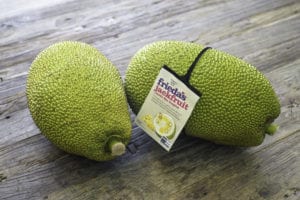 Frieda's Specialty Produce - Jackfruit