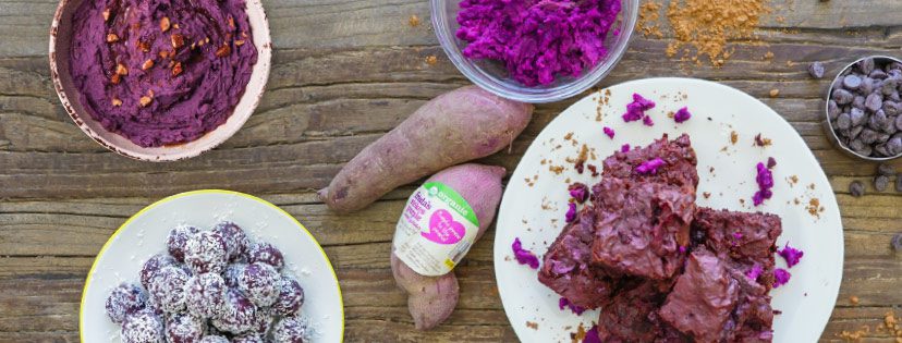 Shallot Sets- Monique – Harris Seeds