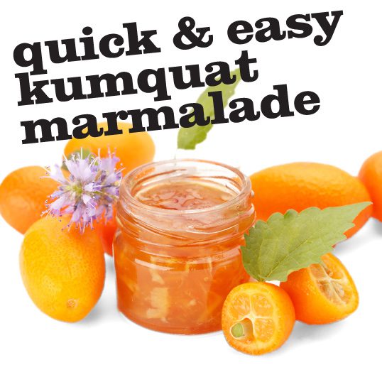 easy kumquat marmalade