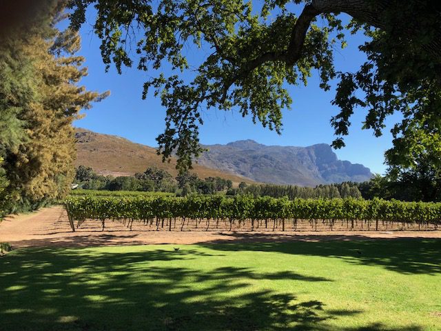 Karen's Blog - Franschhoek - Maison Estate - South Africa