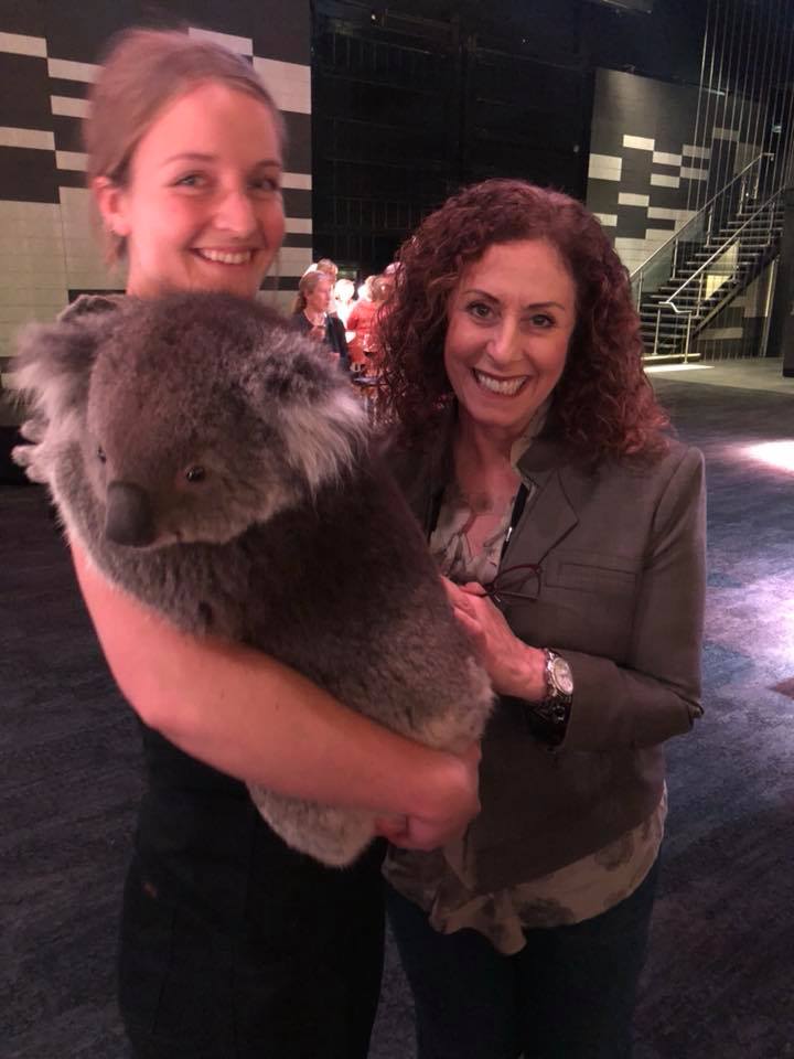 Karen's Blog - Karen Caplan - Melbourne - Koala