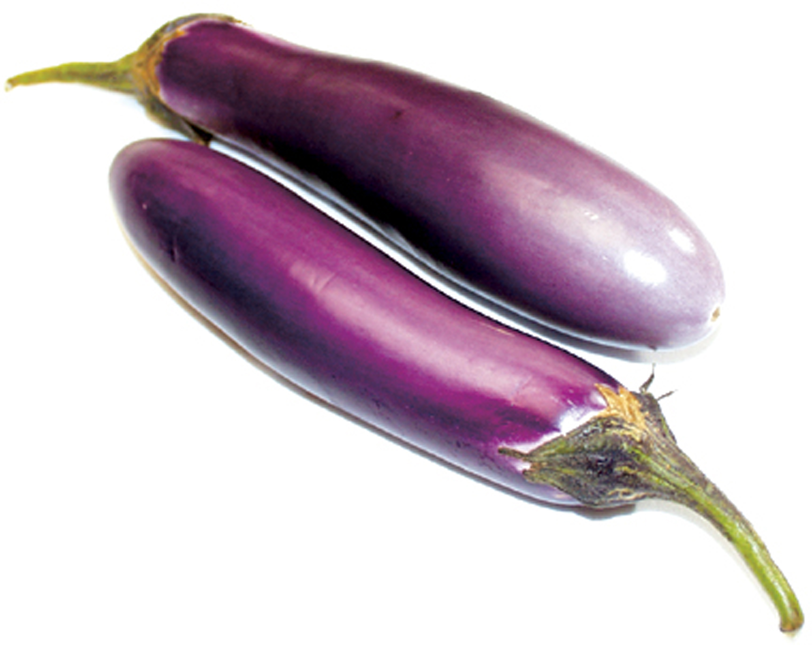 Oriental Eggplant