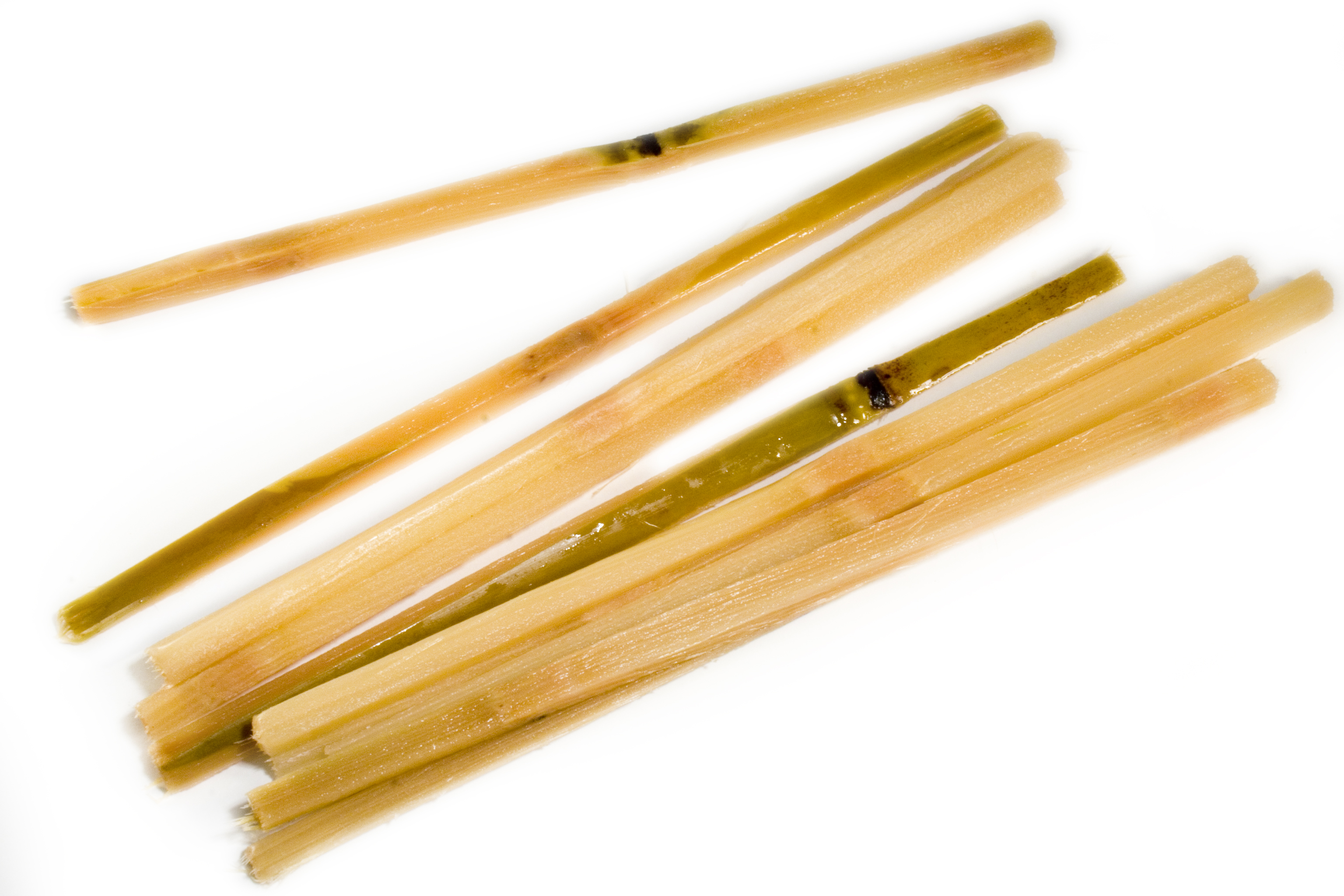 Fresh sugar cane wholesale Frozen sugarcane sticks producer in